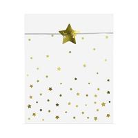 Traktatiezakjes Little Star 13x14cm (6st) - thumbnail