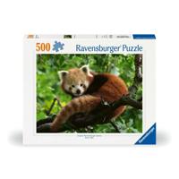 Ravensburger puzzel Schattige Rode Panda 500 stukjes - thumbnail