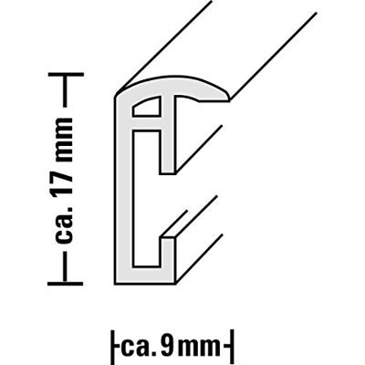 Hama 00066778 Wissellijst Papierformaat: 30 x 45 cm Zilver Hama 00066778 Wissellijst Papierformaat: 30 x 45 cm Zilver