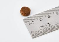 TASTE OF THE WILD Wetlands - droog hondenvoer - 12,2 kg - thumbnail