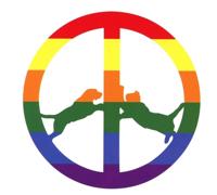 Rainbow Edition - CD (5054429119770) - thumbnail