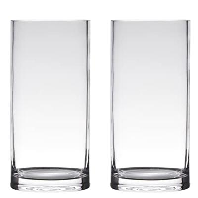 Hakbijl Glass Vaas - cilinder - glas - transparant 12 x 35 cm