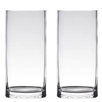 Hakbijl Glass Vaas - cilinder - glas - transparant 12 x 35 cm - thumbnail