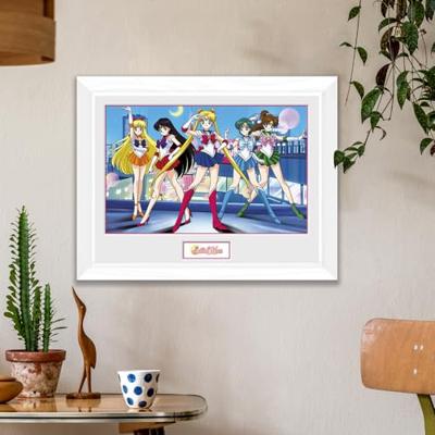 Sailor Moon Framed Print - Group (30x40cm)