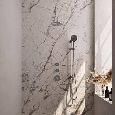 Regendoucheset Inbouw Brauer Brushed Carving Thermostatisch 20 cm met Gebogen Wandarm, Glijstang en Handdouche 3-Standen Losse Stopkranen Geborsteld Regendoucheset Inbouw Brauer Brushed Carving Thermostatisch 20 cm met Gebogen Wandarm, Glijstang en Handdouche 3-Standen Losse Stopkranen Geborsteld