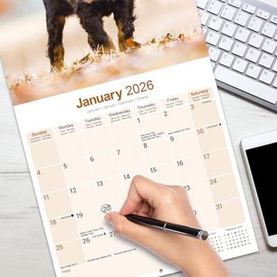 Gordon Setter Kalender 2026 Gordon Setter Kalender 2026