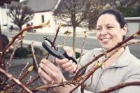 Wolfcraft 4325000 Allround snijset, 3-delig 1 set(s) - thumbnail