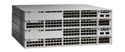 Katalysator 9300 48p mGig-gegevens Netw Essenti