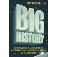 Big History (Paperback) - thumbnail