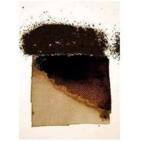 Powertex • bister poeder 30g black - thumbnail