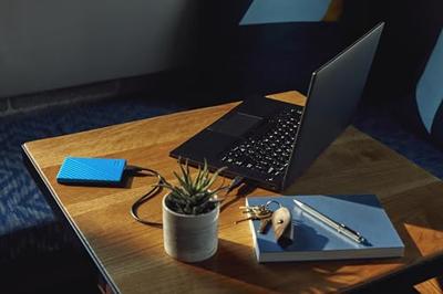 Externe Harde Schijf Western Digital WDBR9S0060BBL-WESN Blauw Zwart/Blauw 6 TB