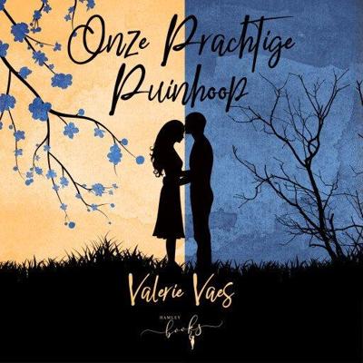 Onze prachtige puinhoop