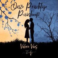 Onze prachtige puinhoop - thumbnail