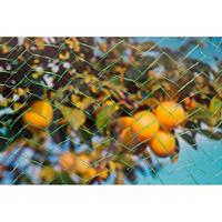 Tuinnet mono l5b2m groen - thumbnail