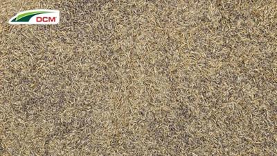 DCM Graszaad Plus Speel & Sport 2,2 kg DCM Graszaad Plus Speel & Sport 2,2 kg