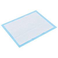 Huisdierentrainingsdoekjes 100 st 60x45 cm nonwoven stof - thumbnail