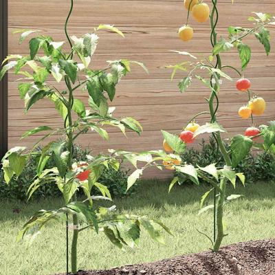 Spiraalvormige plantensteunen 5 pcs Groen 150 cm
