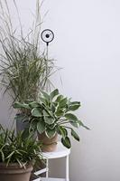 Eva Solo Outdoor Thermometer met Raambevestiging - thumbnail