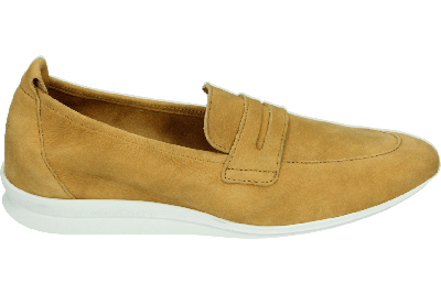 Arche NASANA - alle Arche NASANA - alle