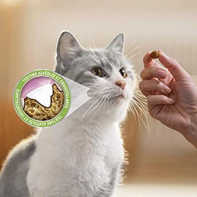 Purina DentaLife Daily Oral Care kattensnacks kip Purina DentaLife Daily Oral Care kattensnacks kip
