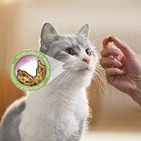 Purina DentaLife Daily Oral Care kattensnacks kip - thumbnail