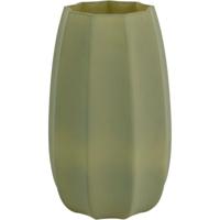 Vaas Evalyn M groen - thumbnail