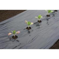 Kweekfolie voor grote groenten 0.95 x 10 m - thumbnail