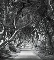 Komar Stefan Hefele; Komar Wanderlust Fotobehang Forevenue - SHX5-033 - thumbnail
