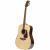 Takamine GN93-NAT akoestische westerngitaar - thumbnail