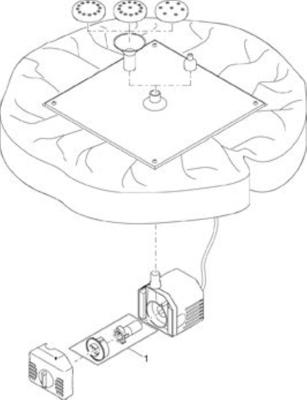 P. solar lily island Pontec - Pontec P. solar lily island Pontec - Pontec