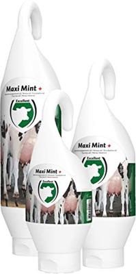 Maxi Mint Plus Sta- / Hangtube
