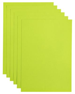 Kopieerpapier papicolor a4 100gr appelgroen
