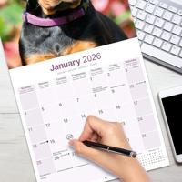 Dobermann Kalender 2026 - thumbnail