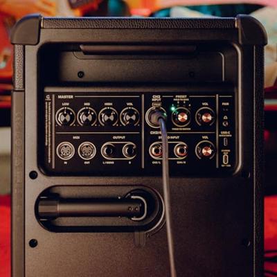 Positive Grid Spark Control wireless foot switch pedal control voor Spark