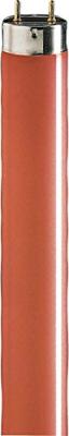 Signify Fluorescentielamp G13 18 W Staaf 1 stuk(s)