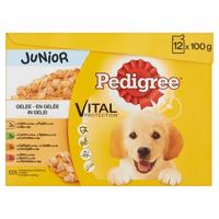Pedigree multipack maaltijdzakjes junior in gelei - thumbnail