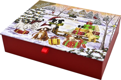 Furry Festivities Deluxe Doosje 20 stuks Furry Festivities Deluxe Doosje 20 stuks