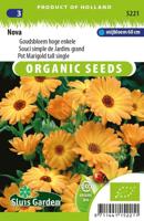 Calendula Officinalis zaden Nova Goudsbloem BIO - thumbnail