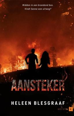 Aansteker - Heleen Blesgraaf - ebook