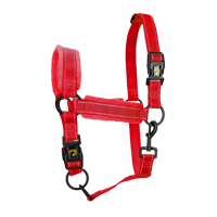 Excellent Horse Superior Halster XL Full Rood - thumbnail