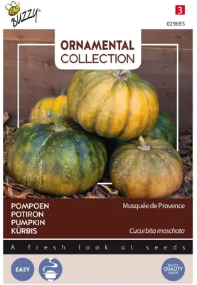 Zaden Ornamental Courgette Musque De Provence Buzzy - Buzzy