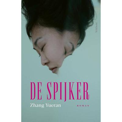 De spijker (Paperback)