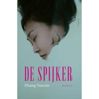 De spijker (Paperback) - thumbnail
