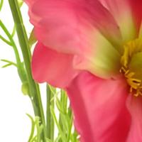 Cosmos Bibi dk pink 77 cm kunstbloem Erutan Avon - Erutan avon - thumbnail