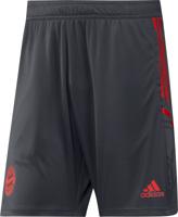 Bayern München Trainingsshort Senior 2022-2023 - Maat S - Kleur: Grijs | Soccerfanshop - thumbnail