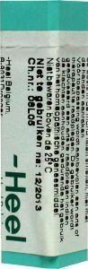 Homeoden Heel Dulcamara 200K 1 Gram Homeoden Heel Dulcamara 200K 1 Gram