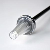 Spinnenvanger - thumbnail