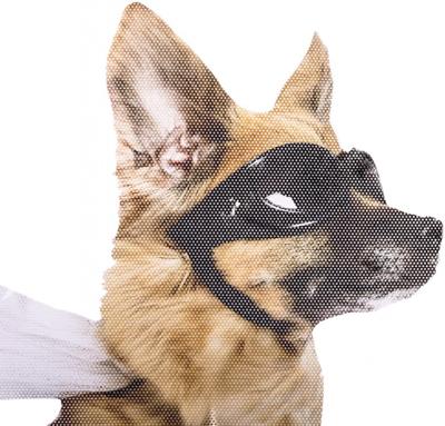 thumbsUp! autoraamsticker Ride with Hond 30,5 x 30 cm vinyl thumbsUp! autoraamsticker Ride with Hond 30,5 x 30 cm vinyl