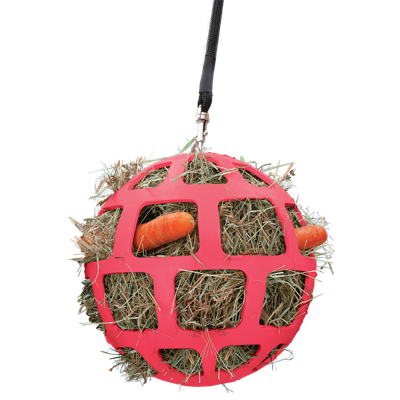 Hay Slow Feeder Fun & Flex Roze