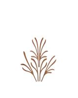 Alessi The Five Seasons Reservestokjes voor de geur Grrr - thumbnail